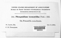 Image Associated With the Occurence